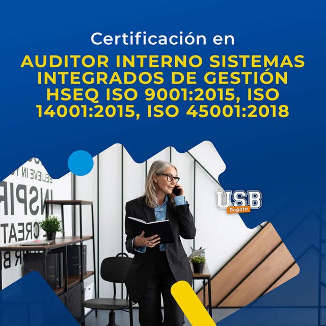 AUDITOR INTERNO SISTEMAS INTEGRADOS DE GESTIÓN HSEQ ISO 9001 2015 ISO